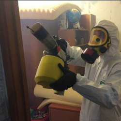 Уничтожение клопов в квартире. Углегорск